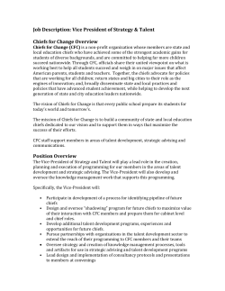 Job Description: Vice President of Strategy