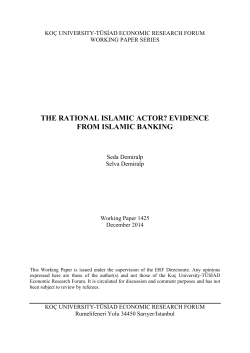 the rational islamic actor? evidence from islamic banking
