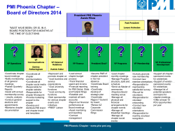 2013_Q1 Report-PMI_Phoenix
