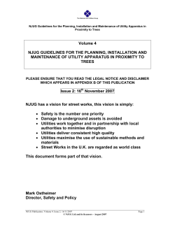 Guidelines for the Planning, Installation and Maintenance of Utility