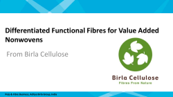 Differentiated Functional Fibres for Value Added