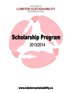 2013/2014 Student Scholarship Application