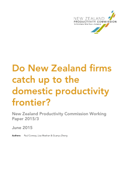 Productivity convergence among New Zealand firms