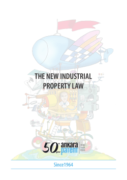 the new industrial property law