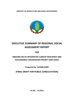 Executive Summary