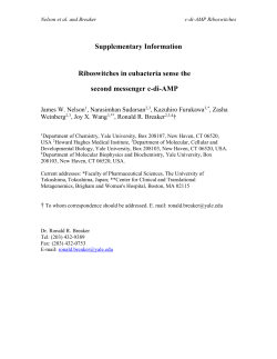 Supplementary Information Riboswitches in