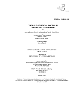 the role of mental models in dynamic decision-making
