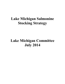 Lake Michigan Committee Salmon Stocking Strategy