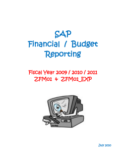 SAP Financial / Budget Reporting