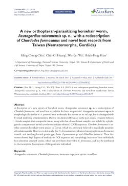 A new orthopteran-parasitizing horsehair worm