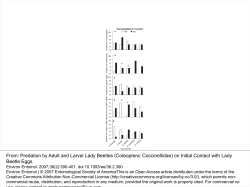 (Coleoptera: Coccinellidae) on Initial Contact with Lady Beetle Eggs