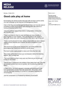 Good cats play at home - Dog and Cat Management Board