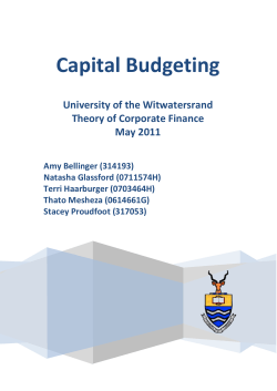 Capital+Budgeting+5th draft - cap
