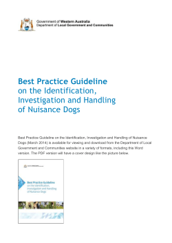 Best Practice Guideline on the Identification, Investigation and