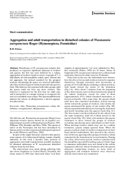 Aggregation and adult transportation in disturbed colonies of