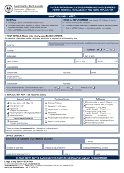 MR206 P1 or P2 Provisional Licence/Driver`s Licence/Learner`s