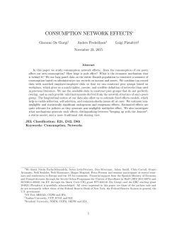CONSUMPTION NETWORK EFFECTS"
