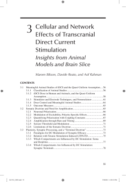 Cellular and Network Effects of Transcranial Direct Current Stimulation