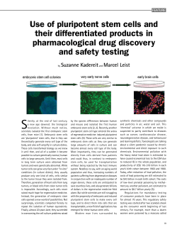 Use of pluripotent stem cells and their differentiated products in