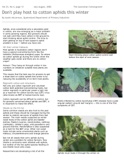 Don`t play host to cotton aphids this winter