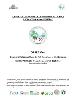 Athena kick-off meeting