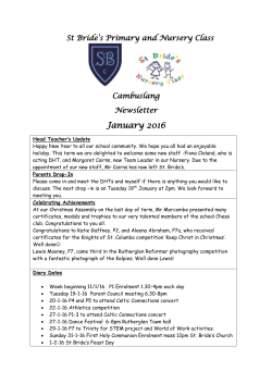 St Bride`s Primary and Nursery Class Cambuslang Newsletter