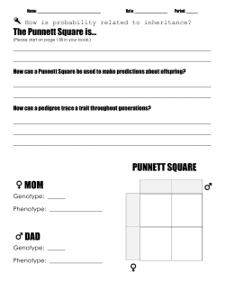 Blank punnett square practice packet
