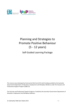 Planning and Strategies to Promote Positive