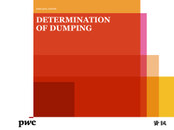DETERMINATION OF DUMPING