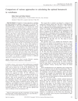 Comparison of various approaches to calculating the optimal