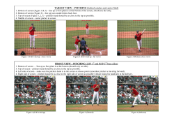 TARGET VIEW – PITCHING (behind catcher and center field