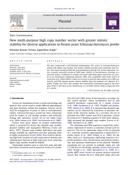 New multi-purpose high copy number vector with greater mitotic