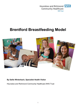Brentford Breastfeeding Model - The London Network For Nurses