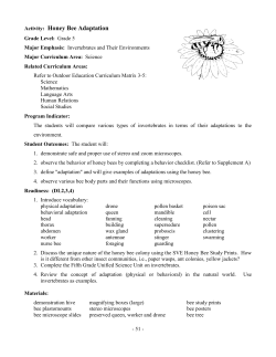 Honey Bee Adaptation