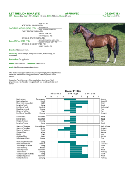 let the lion roar (tb) approved gb22077183