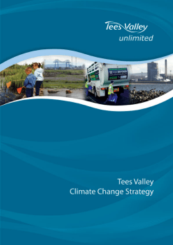Tees Valley Climate Change Strategy