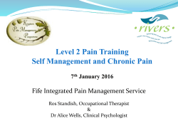 The Pain Self Management Jigsaw