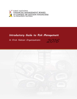 Introductory Guide to Risk Management