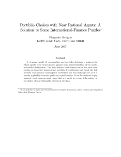 Portfolio Choices with Near Rational Agents: A Solution to