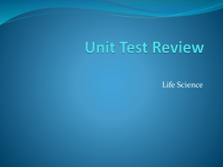 Unit Test Review