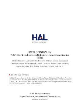 SCCS OPINION ON N,N`-Bis-(2-hydroxyethyl)-2-nitro-p
