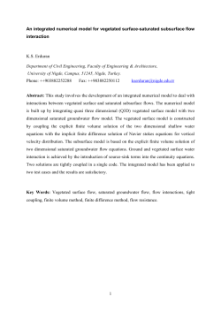 an integrated numerical model for vegetated surface