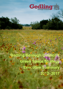 Green Space Strategy - Executive Summary