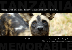 Five night Southern Tanzania itinerary &ndash;Selous Game Reserve
