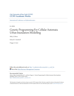 Genetic Programming For Cellular Automata Urban Inundation
