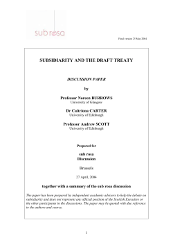 Subsidiarity Report