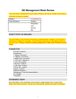 Management Report Template