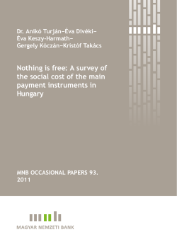 Nothing is free: A survey of the social cost of the main