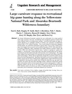 Large-Carnivore Response to Recreational Big