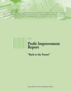 Profit Improvement Report